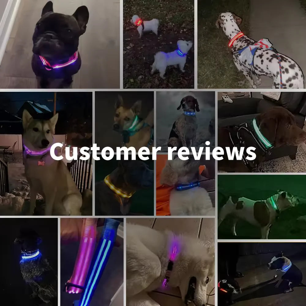 LED Glowing Dog Collar Adjustable Flashing Rechargea Luminous Collar Night Anti-Lost Dog Light Harnessfor Small Dog Pet Products