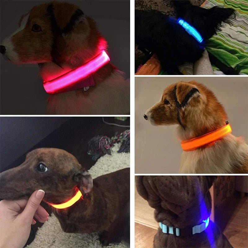 LED Glowing Dog Collars Rechargeable Waterproof Luminous Collar Adjustable Dog Night Light Collar Pet Dog Safety Necklace